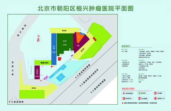 啊啊啊用力肏逼视频北京市朝阳区桓兴肿瘤医院平面图